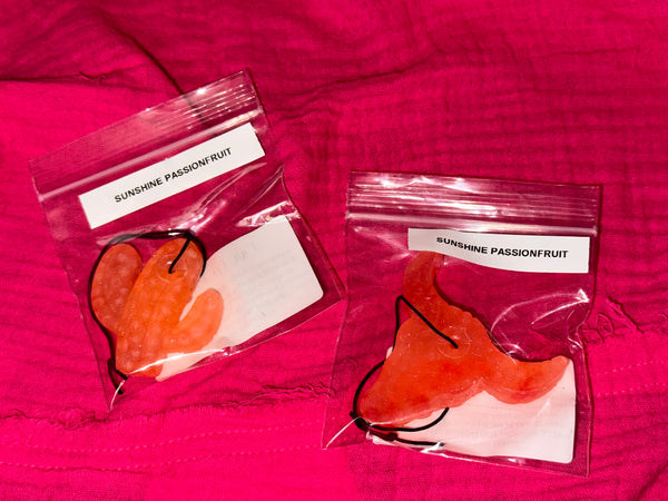 Sunshine Passionfruit Scented Mini Freshie